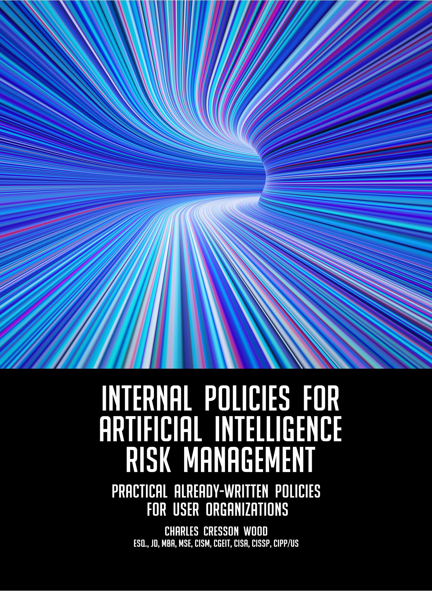 Internal Policies for Artificial Intelligence Risk Management - Digital Edition